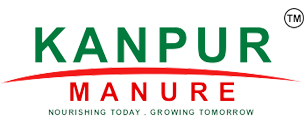 Awesome Logo